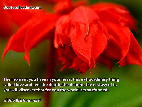 Jiddu Krishnamurti Quotes5